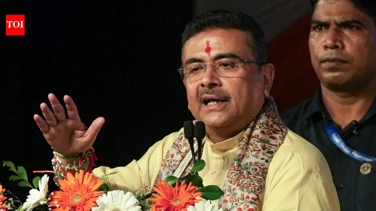'I apologise': Bengal CM Adhikari after govt ad sparks row over 'distorted' Durga image