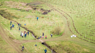 In 2021, a North Yorkshire estate began restoring 2,500 acres of intensively farmed land; four years later, 330,000 trees and 1,700+ species mark its comeback