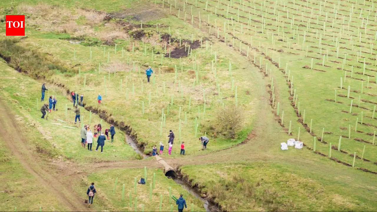 In 2021, a North Yorkshire estate began restoring 2,500 acres of farmed land; four years later...