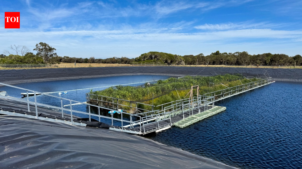 In 2023, Australia put a 330-square-metre floating wetland on a wastewater lagoon