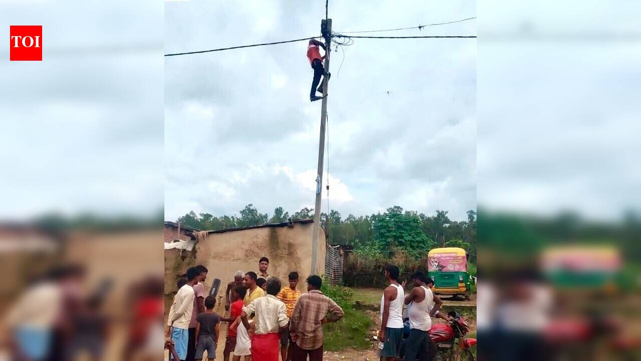 70 villages around Katarniaghat to get street lights to curb big cat attacks
