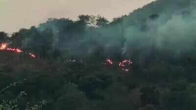 Govt to restructure forest force, curb forest fires