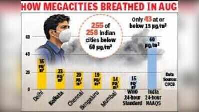 Rain fails to wash away pollutants, PM2.5 stays above WHO guideline
