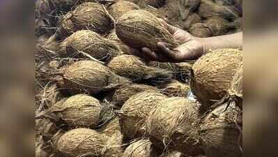 55,000 coconuts for sale at subsidised rates to arrive today, distribution tomorrow