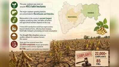 Dry Aug pushes Maha soybean farmers to the brink as crops wither
