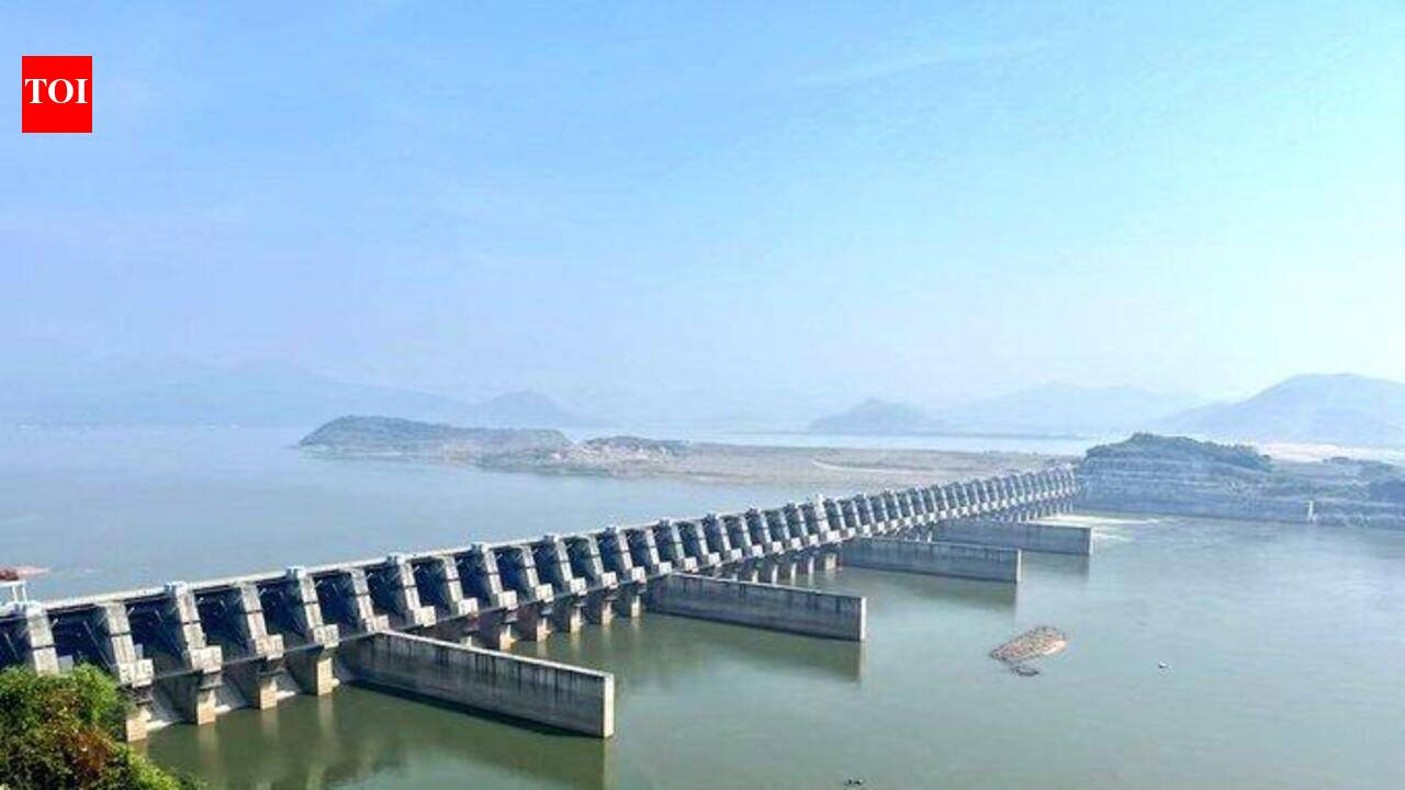 Andhra Pradesh govt presses CWC for technical approval to Polavaram-Nallamala Sagar link