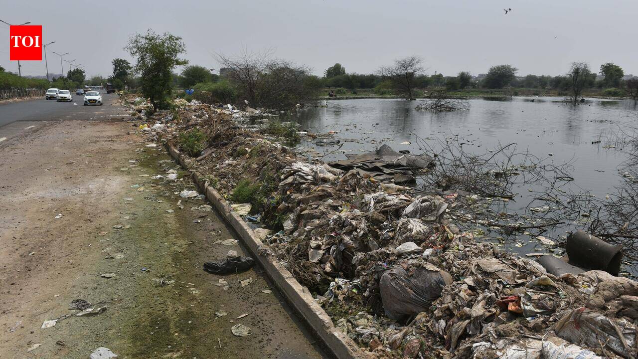 Rs 19 crore sewer network approved for Sectors 77-80, work to take 2 years
