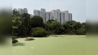 Jhuggis, temple on waterbody, NGT orders removal, restoration