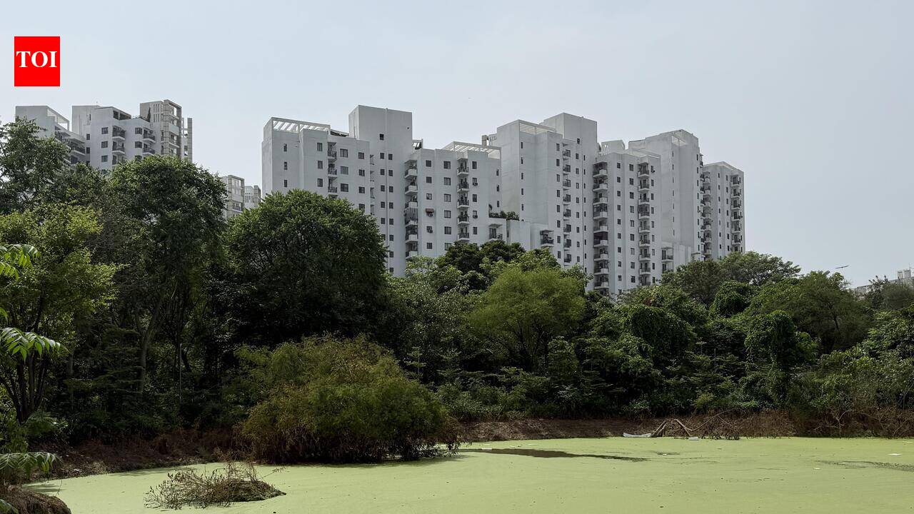 Jhuggis, temple on waterbody, NGT orders removal, restoration