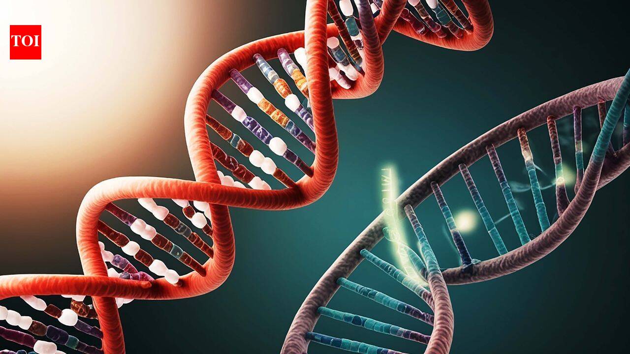 Scientists double genetic alphabet using bacterial enzyme to read and transcribe 8 DNA letters