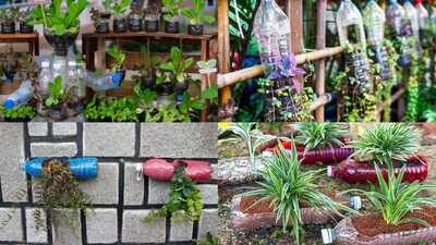 DIY: 5 creative ways to recycle empty plastic bottles for your home garden