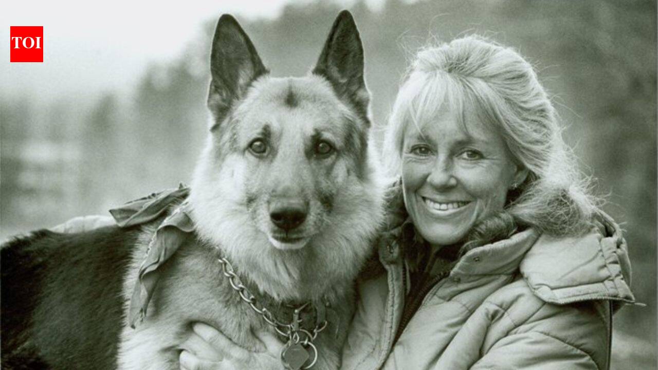 She built a 12-by-12-foot cabin with no electricity or road: The woman who chose to live alone in the Adirondack wilderness