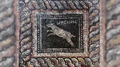 Around 1,800 years ago, a Roman household decorated its floor with a cat named 'Emerald' and a dog named 'Ocean'; archaeologists have now uncovered the mosaic