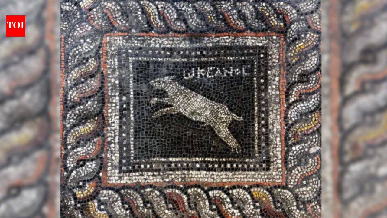 1,800 years ago, a Roman household decorated floor with cat and dog; archaeologists uncover mosaic