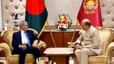 Indian envoy meets Bangladesh president, stresses strengthening 'deep-rooted' ties