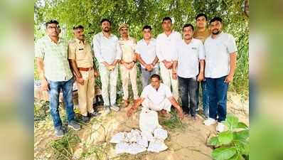 ANTF unearths Rs 85L opium hidden under tree, 1 held
