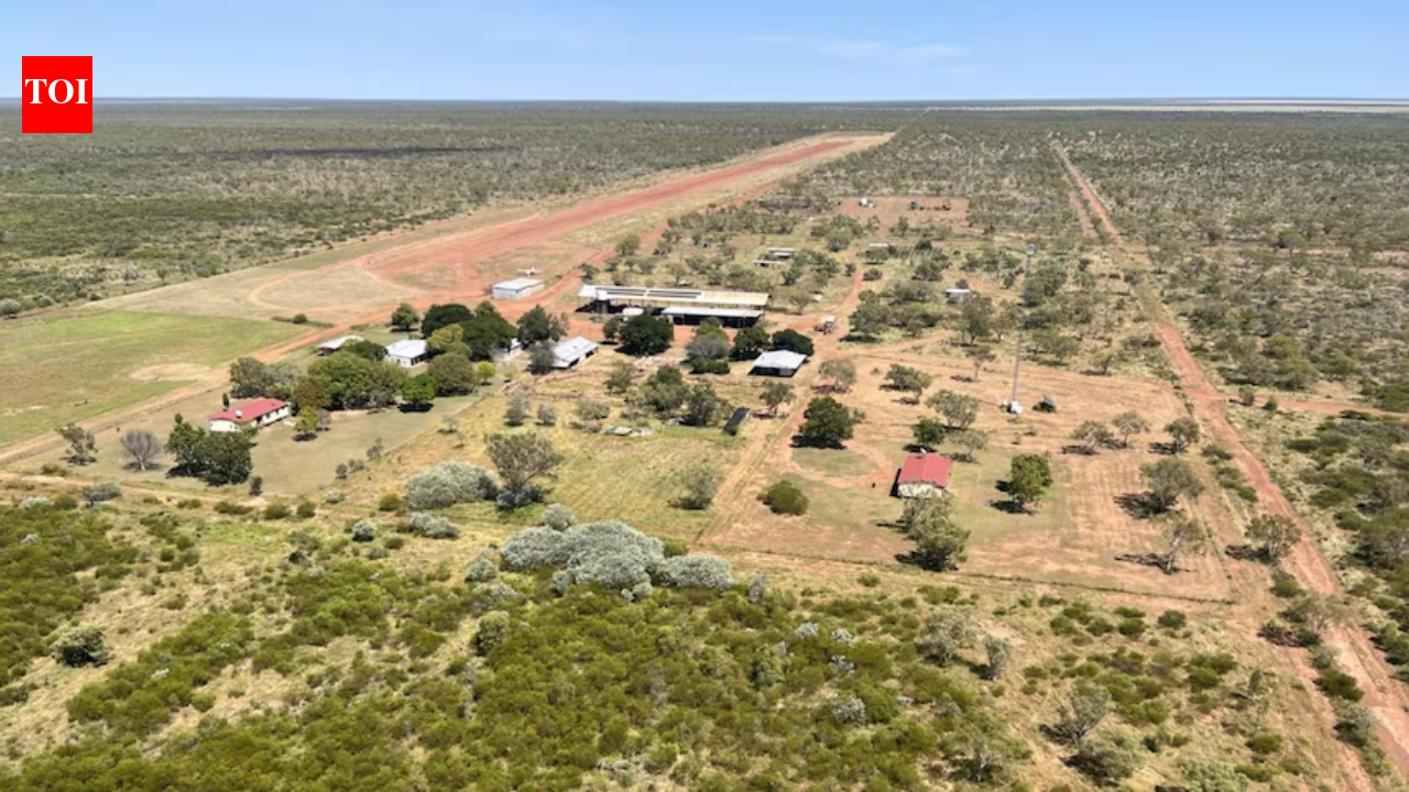 In 2023, an Australian cattle station sold for $40 million for a carbon project; three years later...