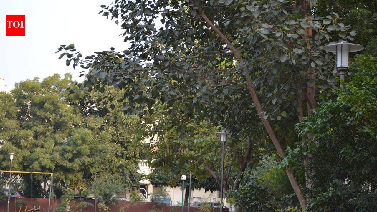 6 parks in city set to get a facelift for walkers
