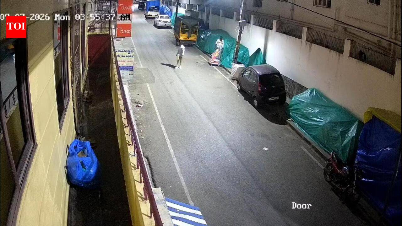 Lord Ganesha isn't safe from thieves! Idol stolen from roadside stall in Bengaluru