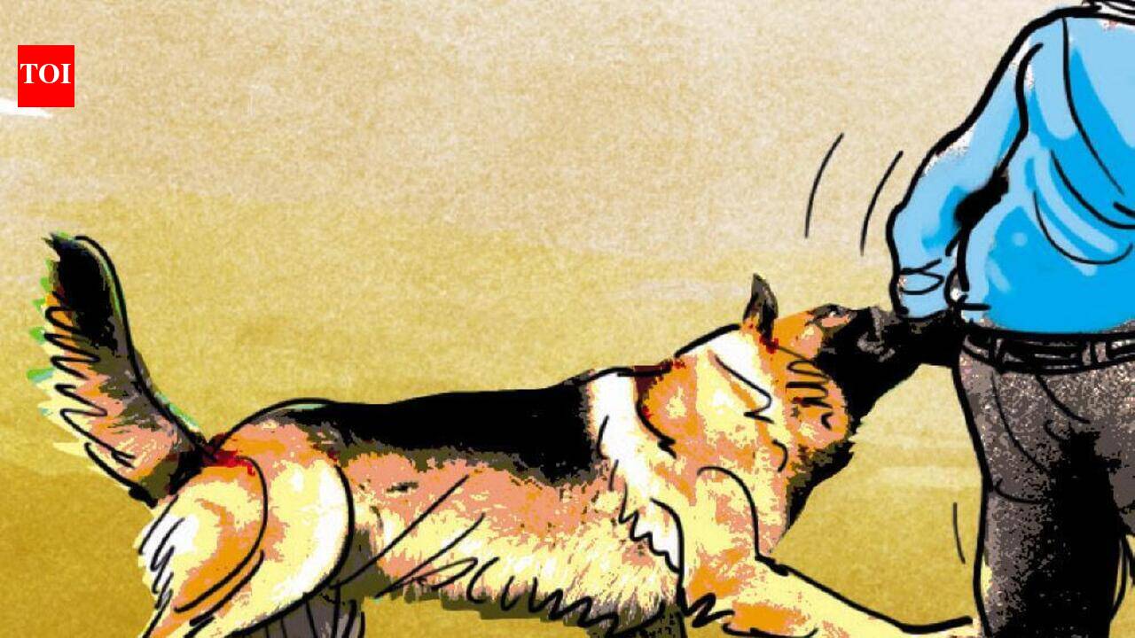 Belagavi launches month-long rabies awareness drive