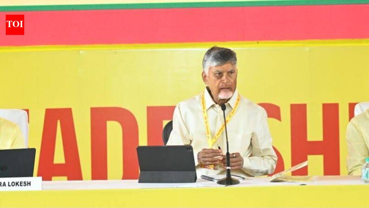 Naidu directs TDP leaders to tackle AP drought, boost public outreach