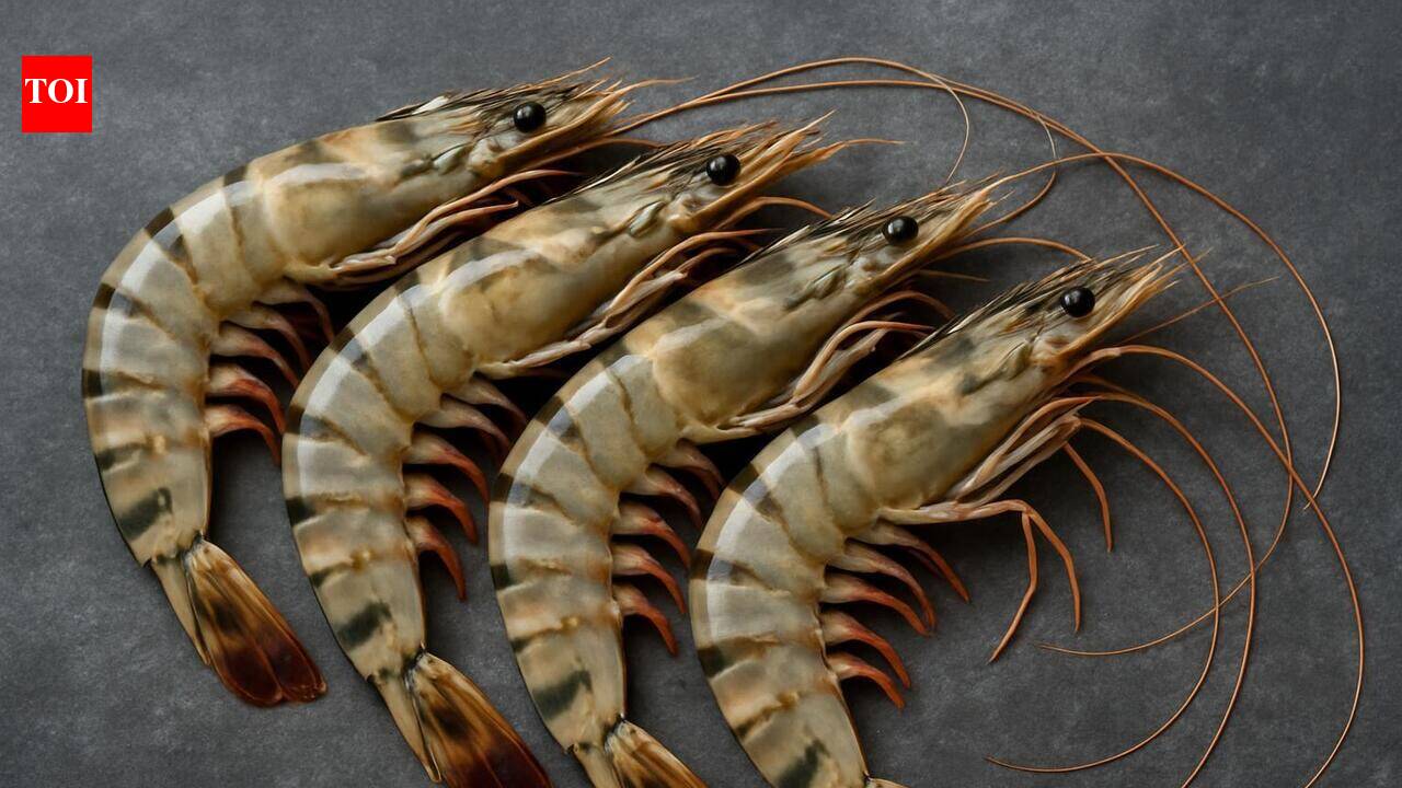 Andhra high court stays prawn feed price hike, orders old rates