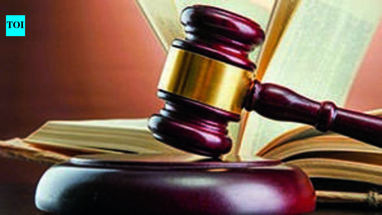 HC seeks details of transport facilities to Bhogapuram airport