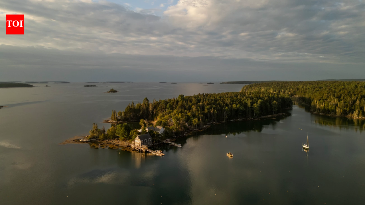 She bought a Maine island to stop clear-cutting; 90 years after Audubon opened its first camp there
