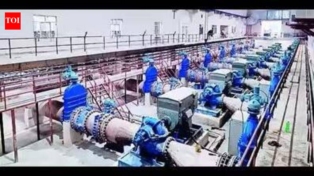BJP govt faces test as PHED workers begin indefinite strike amid ULB polls