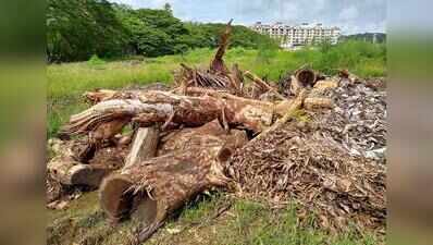 Goa govt to collect dry waste from 450-plus educational institutions