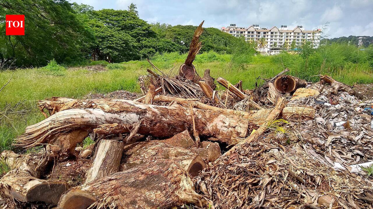 Goa govt to collect dry waste from 450-plus educational institutions