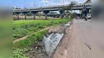 Spurt in mosquito-borne diseases prompts civic action against breeding sites