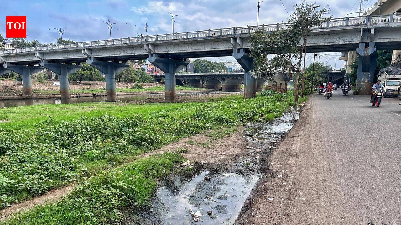 Spurt in mosquito-borne diseases prompts civic action against breeding sites