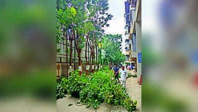 PCMC must frame tree-pruning policy for societies: Standing committee chief Abhishek Barne