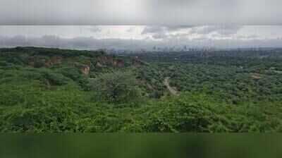 Leopard Trail in Gurgaon to get 1-acre revived waterbody, butterfly park