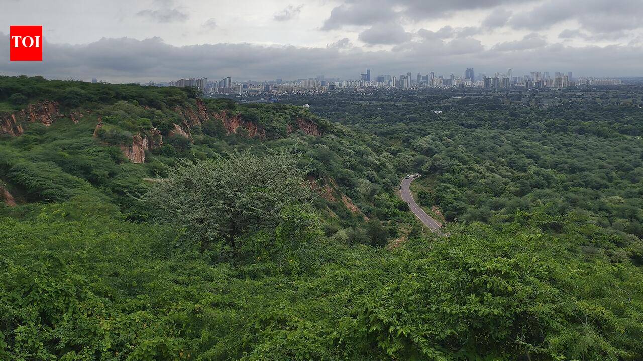 Leopard Trail in Gurgaon to get 1-acre revived waterbody, butterfly park