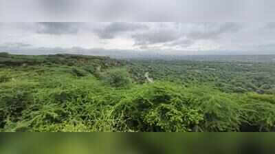 Leopard Trail in Gurgaon to get 1-acre revived waterbody, butterfly park