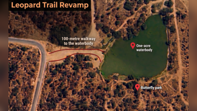 Leopard Trail in Gurgaon to get 1-acre revived waterbody, butterfly park
