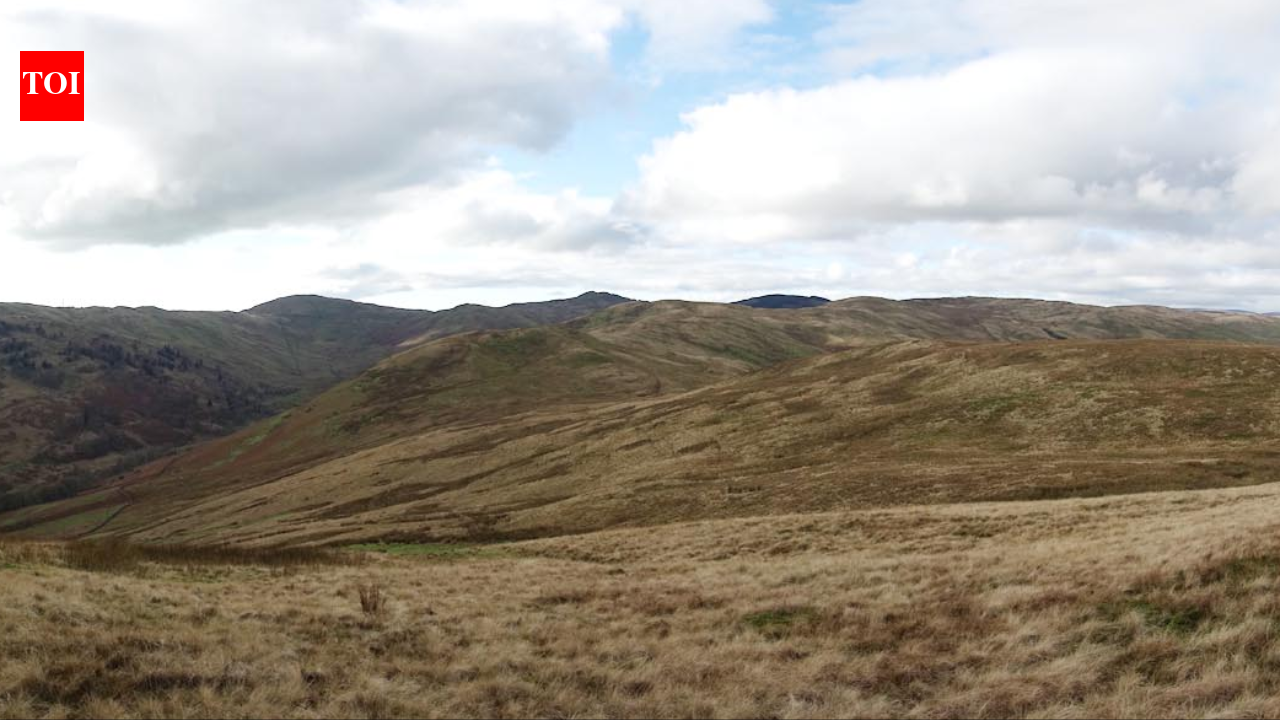 In 2012, an English upland restoration project began fencing sheep out of Tebay Common