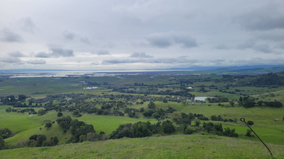 A Napa art center is giving up development rights on 162 of its 217 acres; the deal protects 75% of the estate while directing up to $1.85 million back to the arts