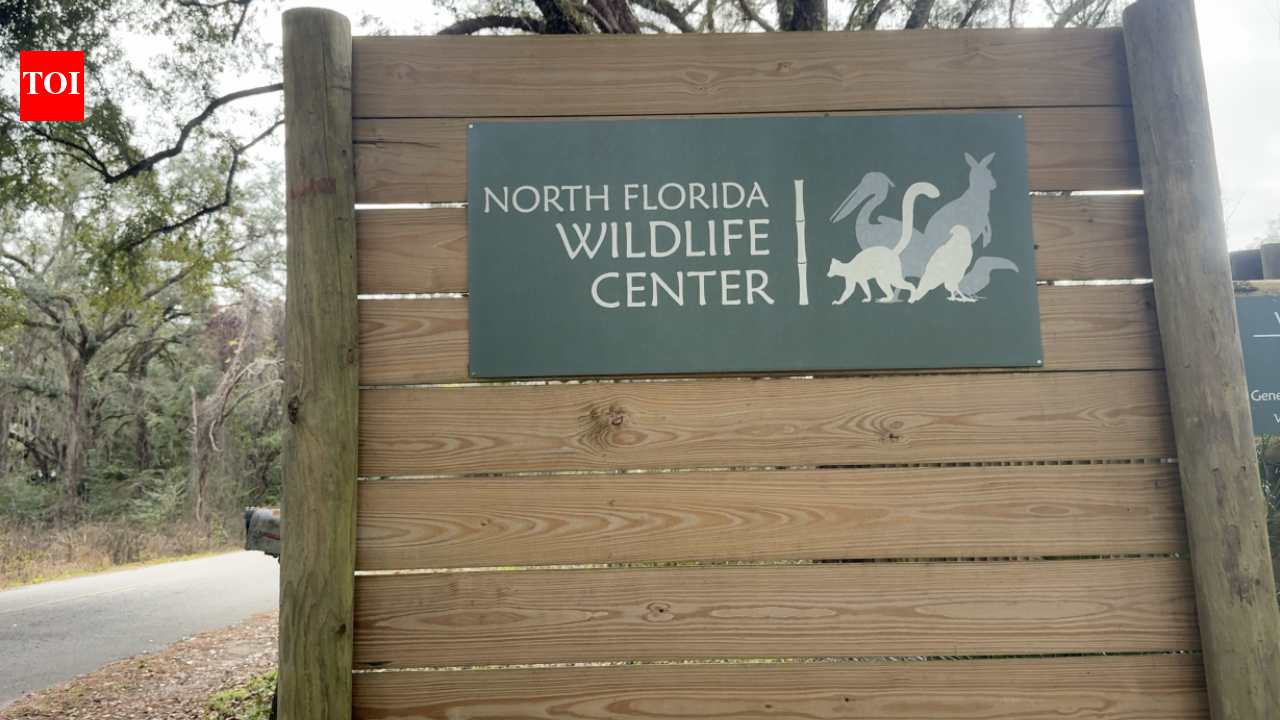 Florida Lemurs Aid Rainforest: Visitor encounters fund tree planting; link supports Madagascar