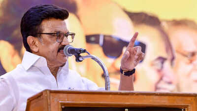 DMK fields 2 lawyers for Tamil Nadu assembly bypolls