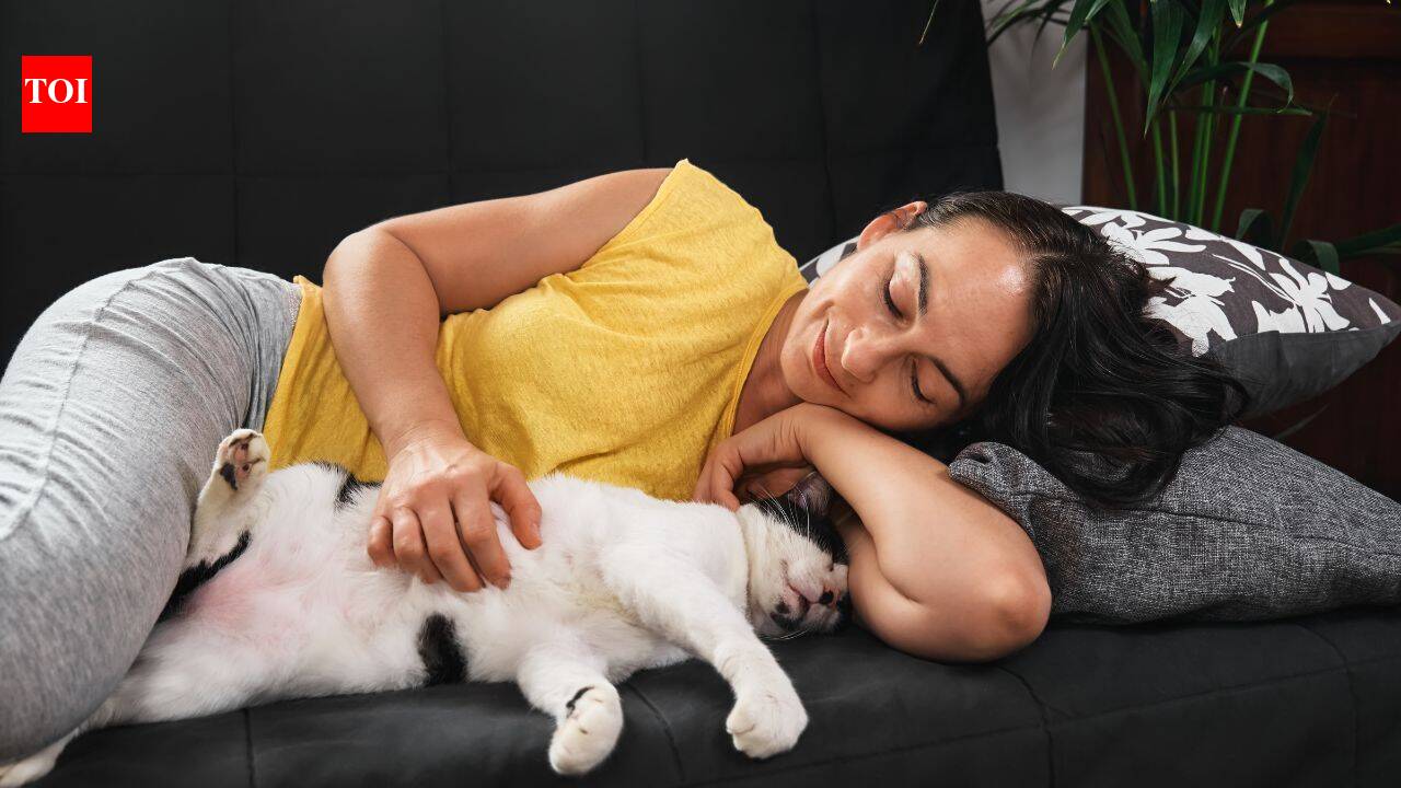 Psychology says sleeping with your pet may be about feeling safe, loved and secure