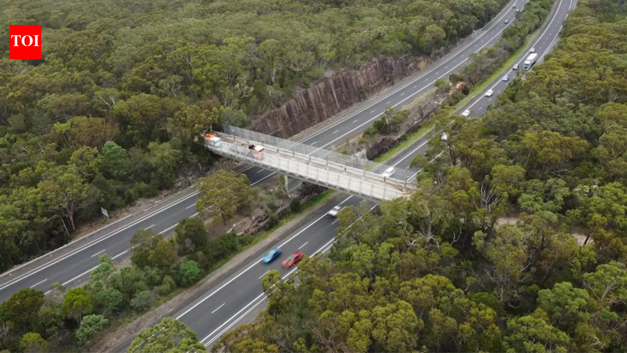 In 1974, Australian ranger proposed wildlife bridge; 52 years later, it opened over motorway
