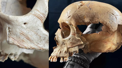 Spanish cave remains reveal repeated cannibalism in prehistoric Europe, from violent deaths to human skulls turned into cups