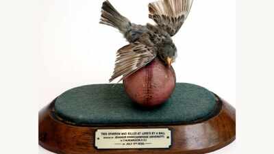 In 1936, an Indian fast bowler's delivery killed a bird at Lord's. The bird was stuffed and mounted on the same ball and now sits in the MCC Museum