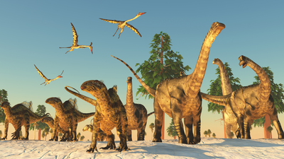 How did dinosaurs survive near the South Pole? New fossils reveal how Titanosaurs kept their eggs warm