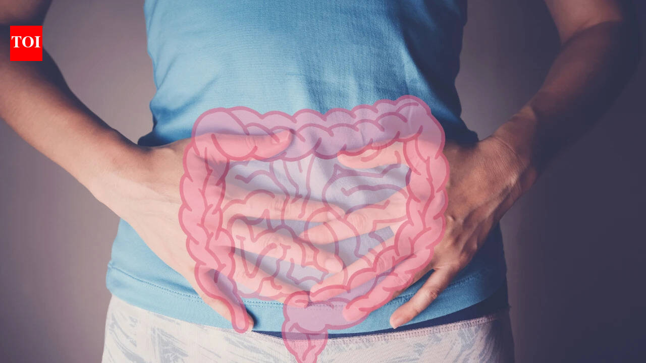 The gut microbiome is far more dynamic and contagious than we thought, finds study