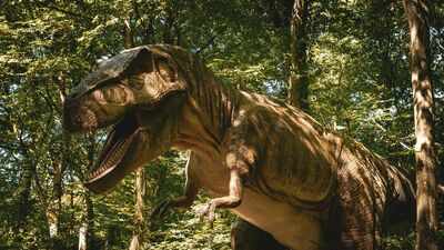 A huge dinosaur was uncovered at the Brazilian Rail project; here’s more about the study