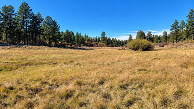 A Colorado family has protected a 684-acre ranch that stayed in the same family for 90 years; its old cabin once served as a ranger and postmaster station